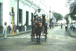 HAN OLIDO LOS PEDOS DE LOS CABALLOS?